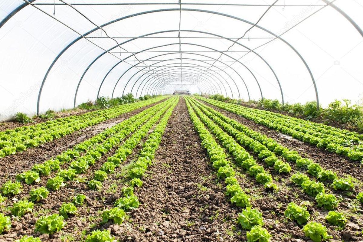 farming