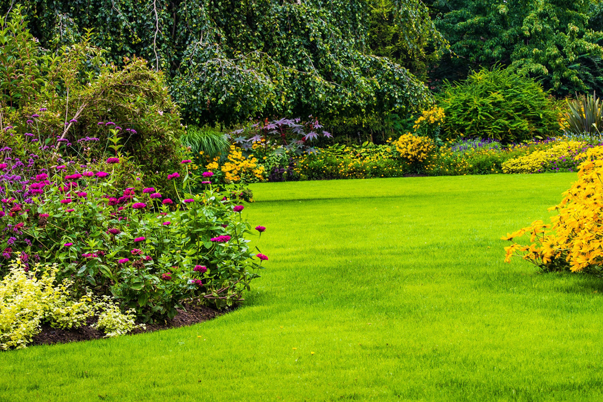garden